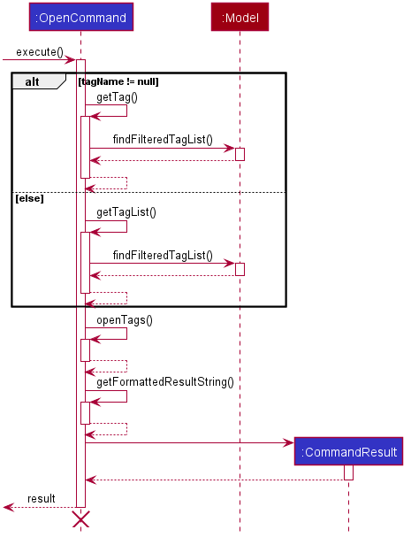 OpenCommandSuccessExecution